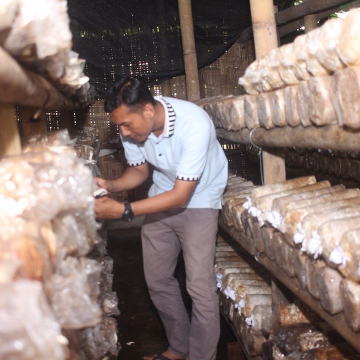 Sambil Merintis Dapur Jamur, Khairullah Berbagi Ilmu Budidaya Jamur Tiram